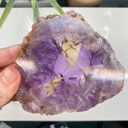Large Ametrine Slice
