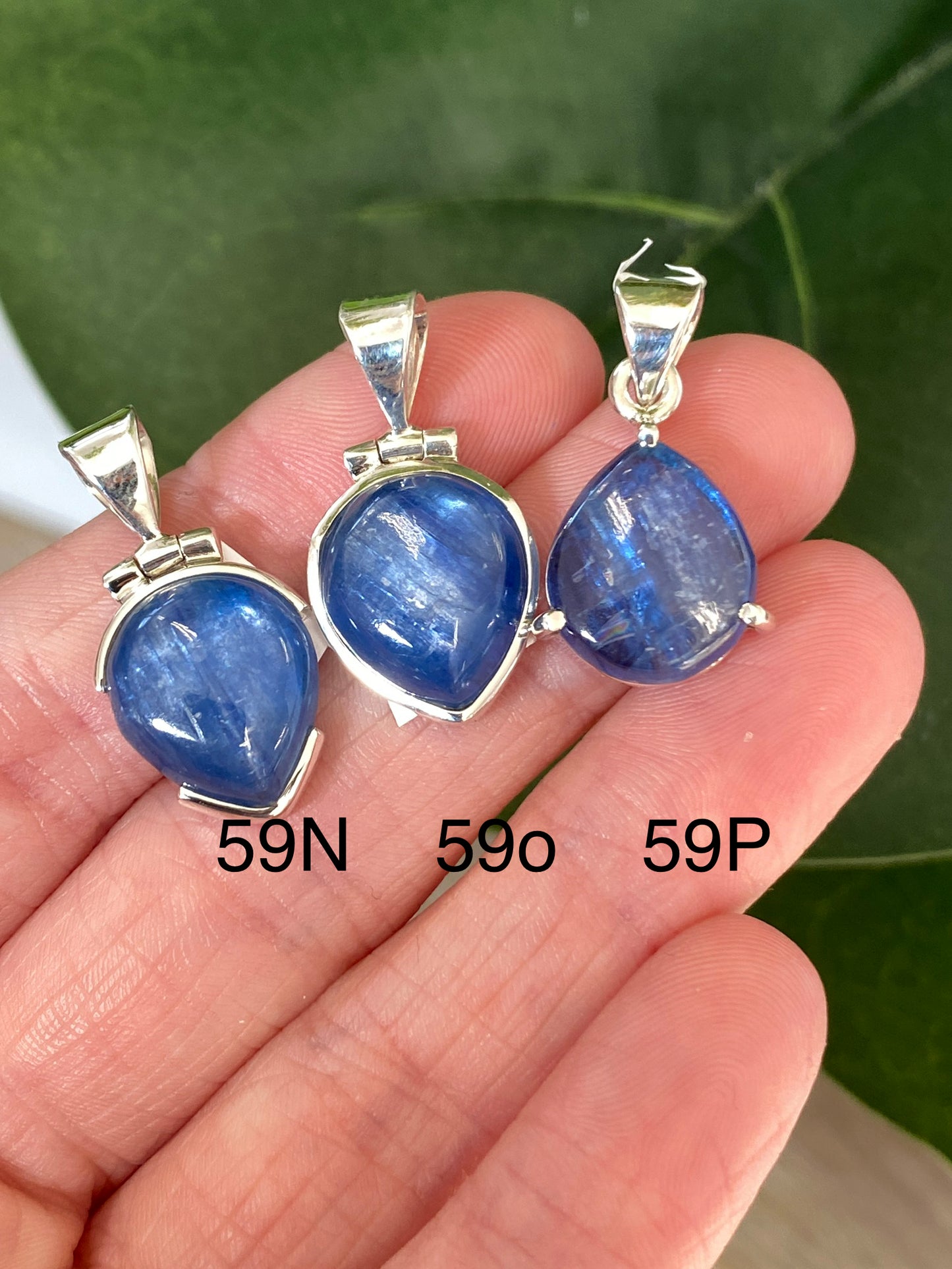 Tucson Live Sale February 11th 2026