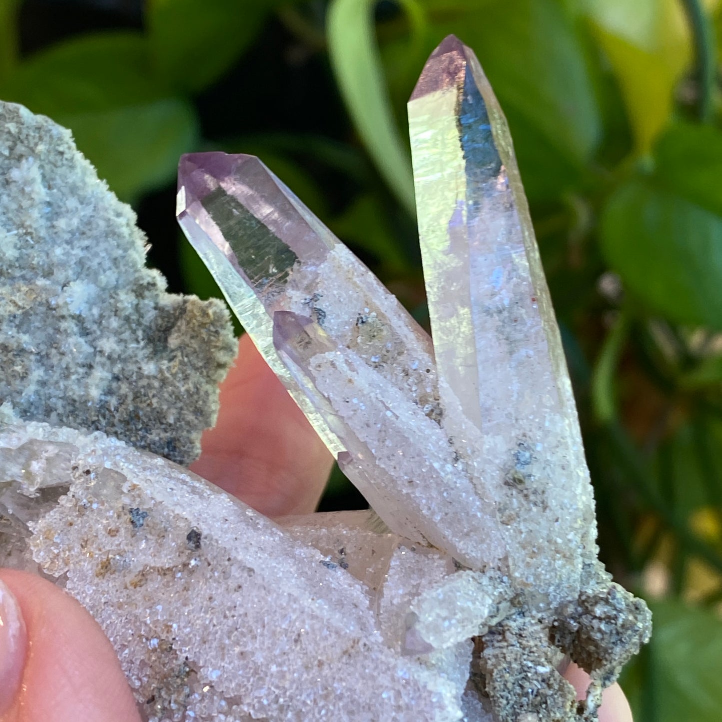 Vera Cruz Amethyst Specimen