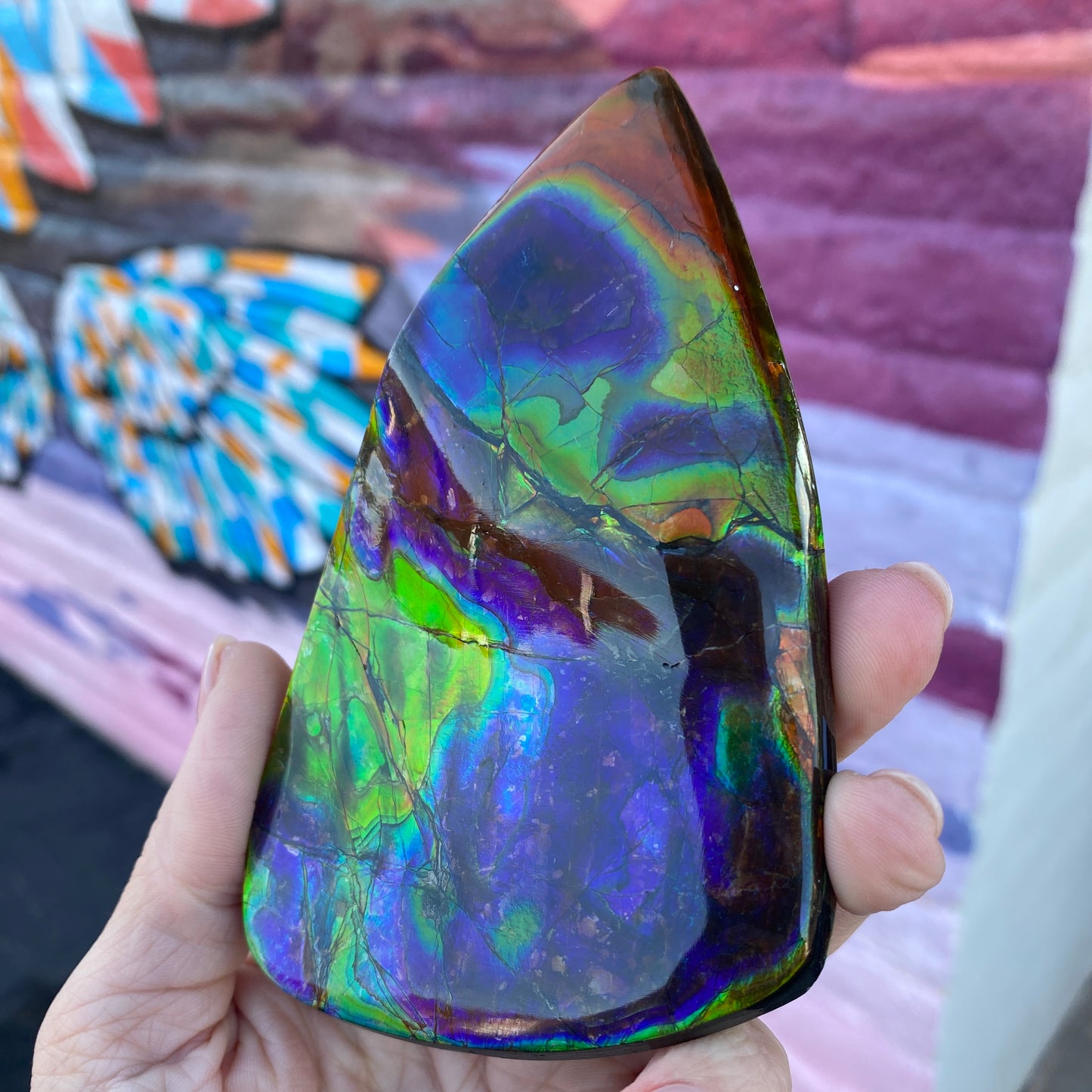 Ammolite Palm Stone, Large Full Rainbow