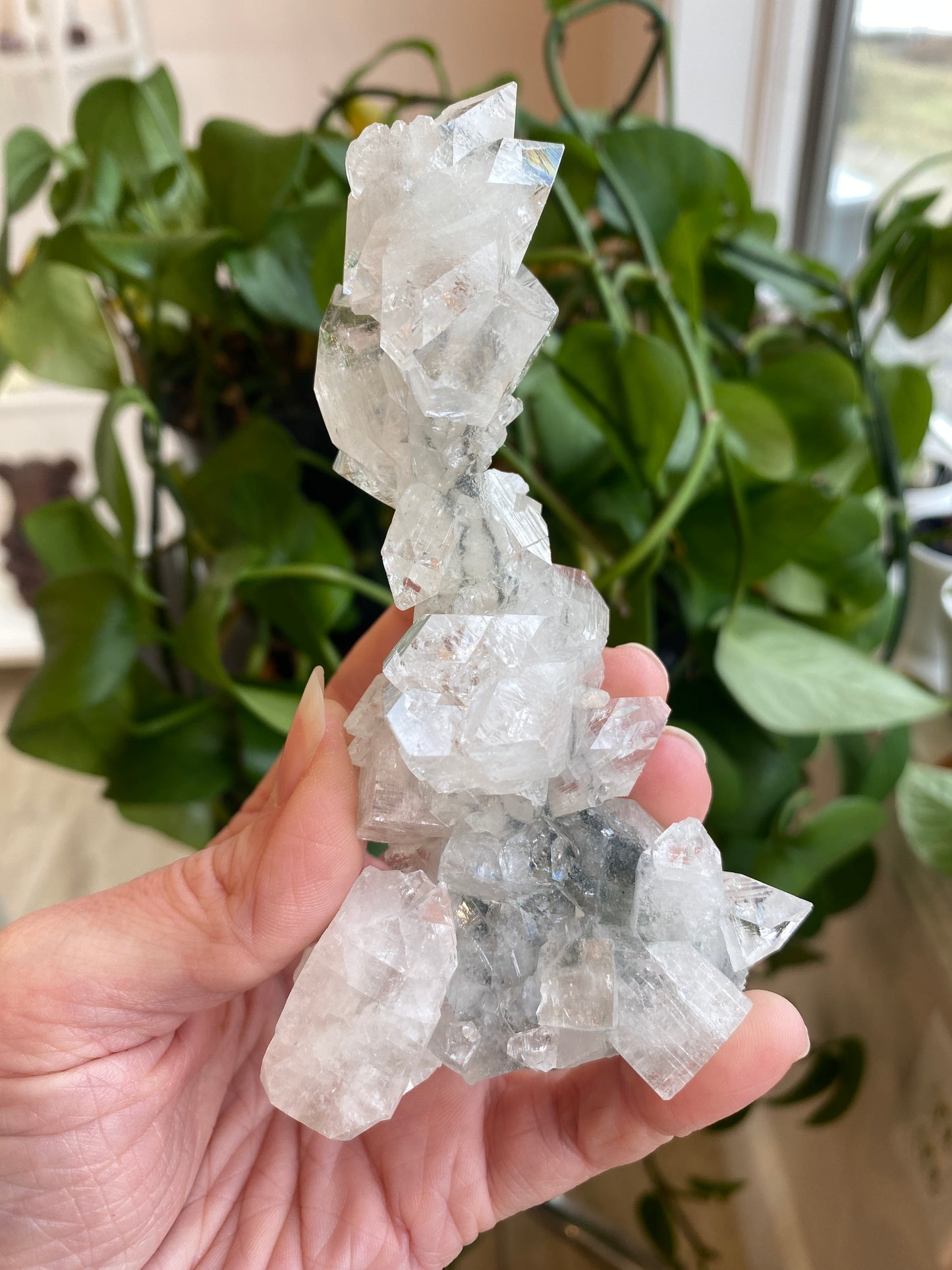 High Quality Apophyllite Stalactite