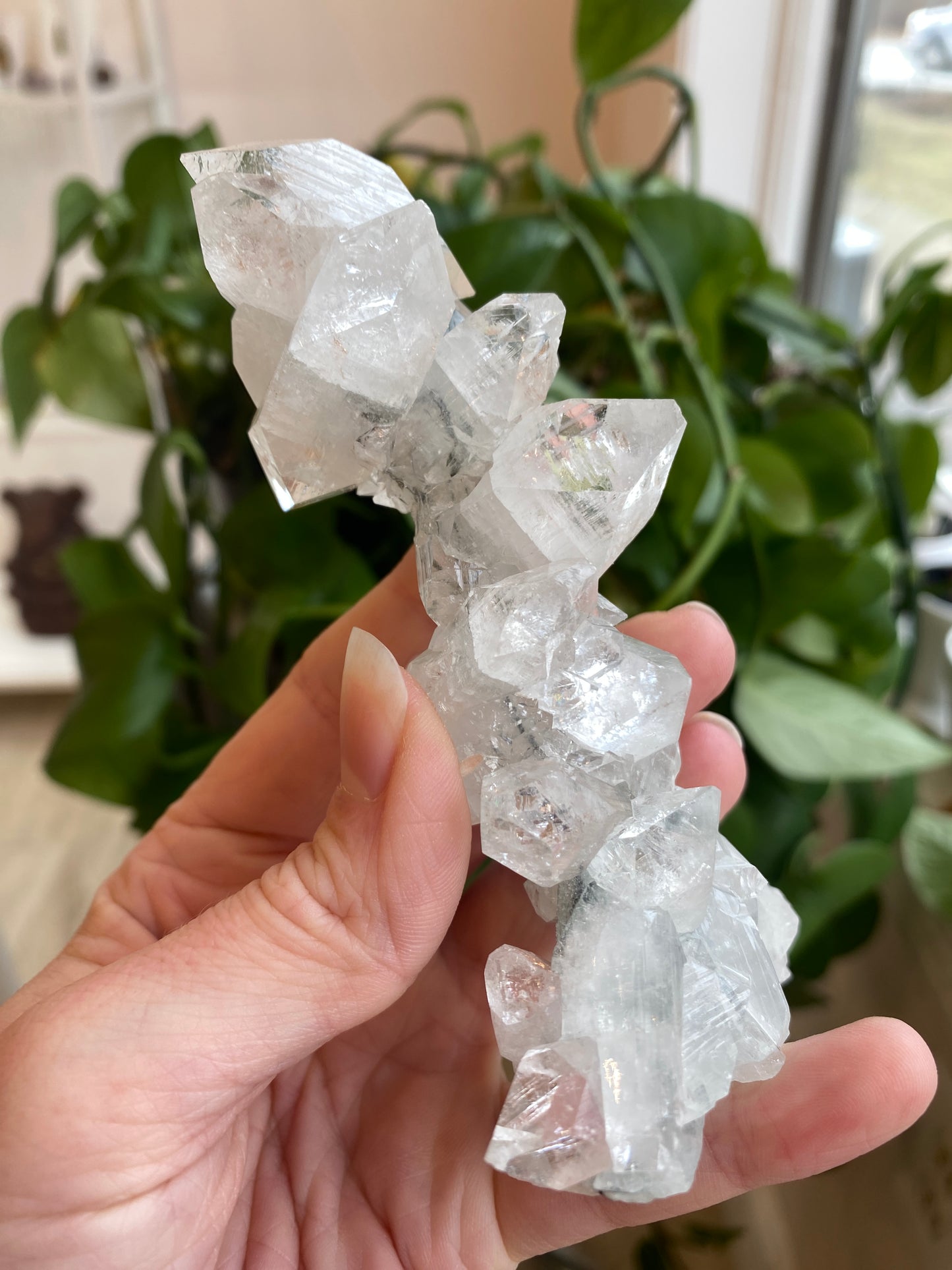 High Quality Apophyllite Stalactite