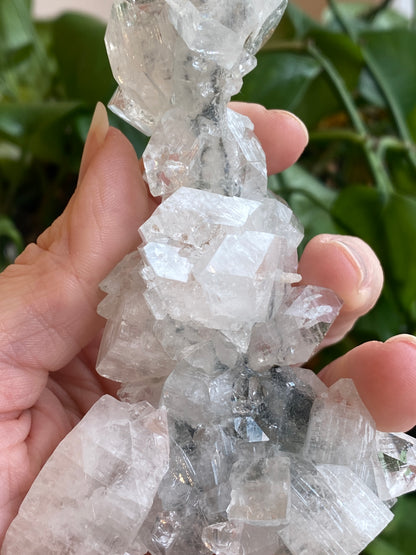 High Quality Apophyllite Stalactite