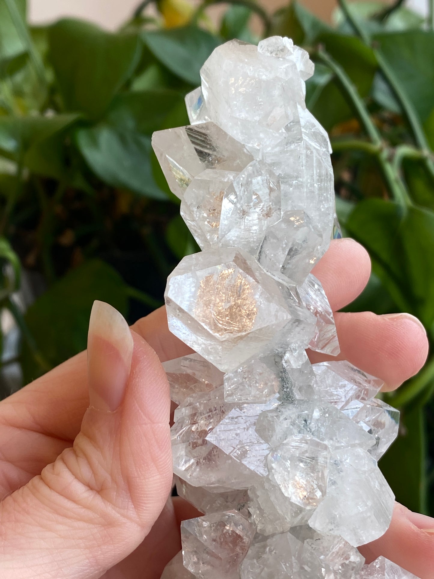 High Quality Apophyllite Stalactite