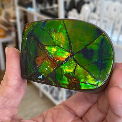 Ammolite Freeform