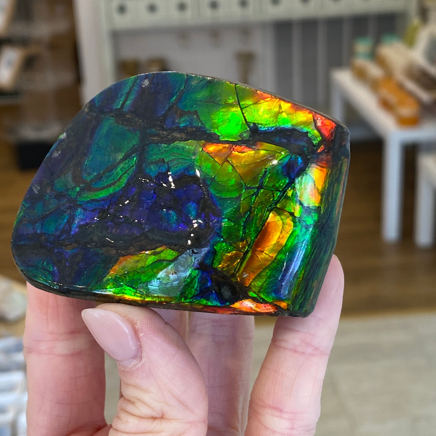 Ammolite Freeform