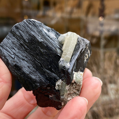 Ilvaite, Sphalerite, Mongolia