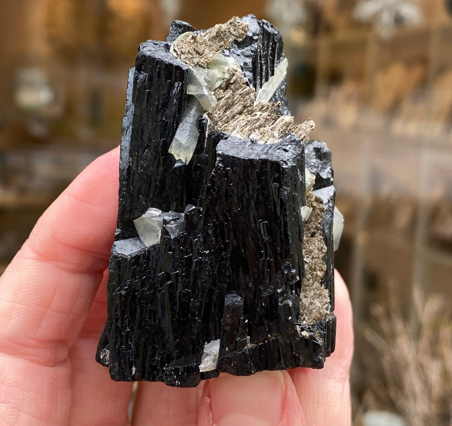 Ilvaite, Sphalerite, Mongolia