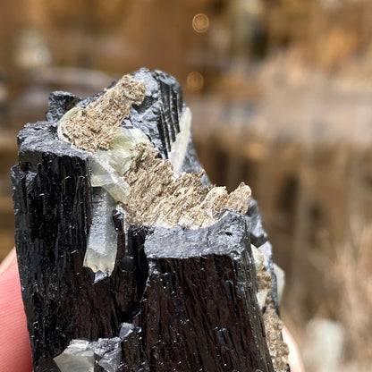 Ilvaite, Sphalerite, Mongolia