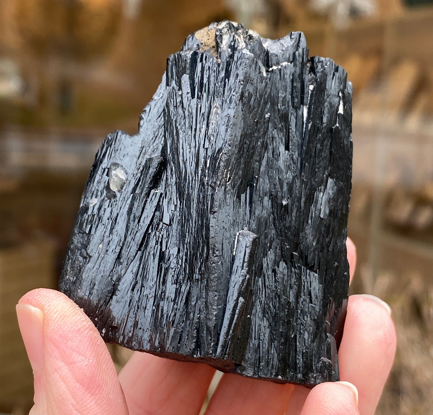Ilvaite, Sphalerite, Mongolia