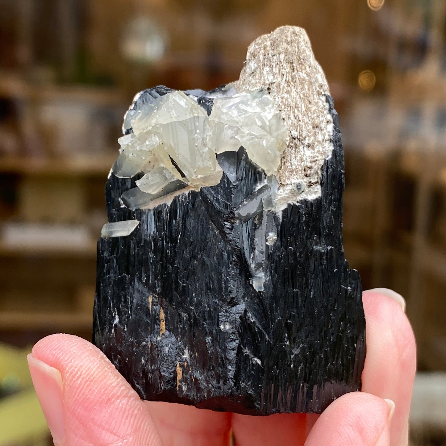 Ilvaite, Sphalerite, Mongolia