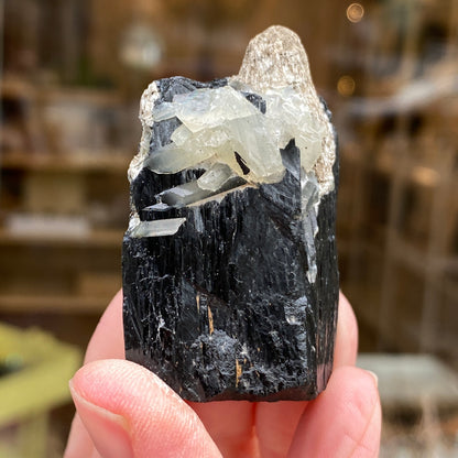 Ilvaite, Sphalerite, Mongolia