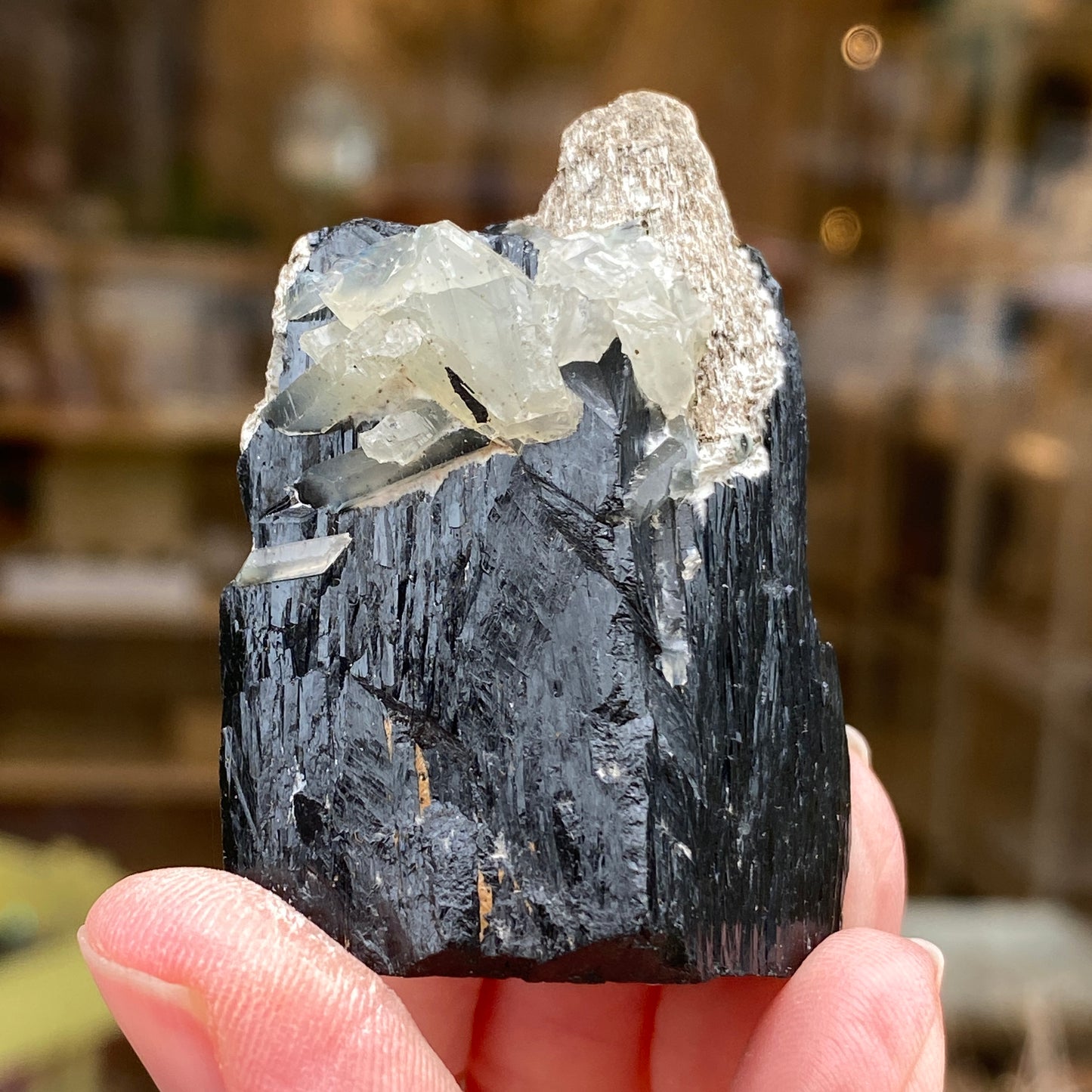 Ilvaite, Sphalerite, Mongolia