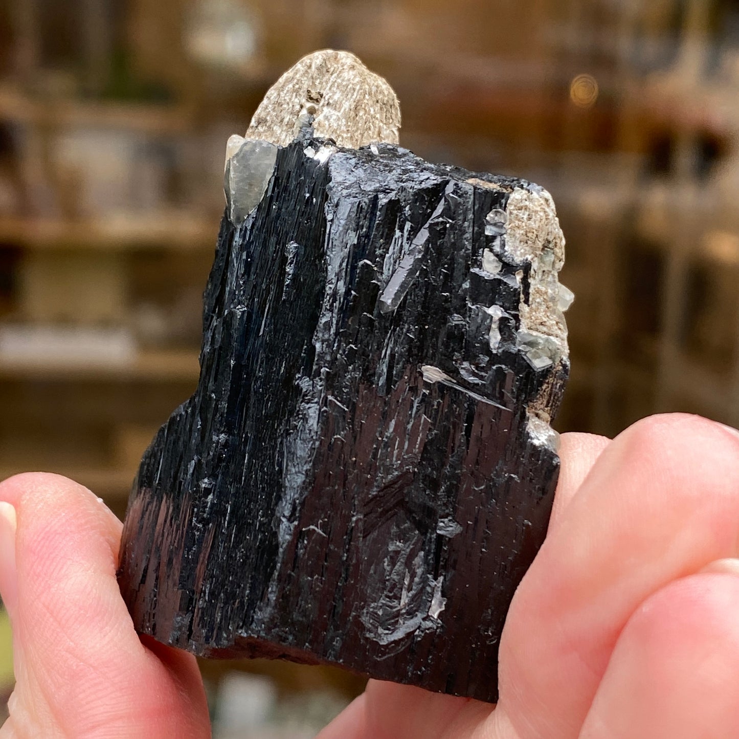 Ilvaite, Sphalerite, Mongolia