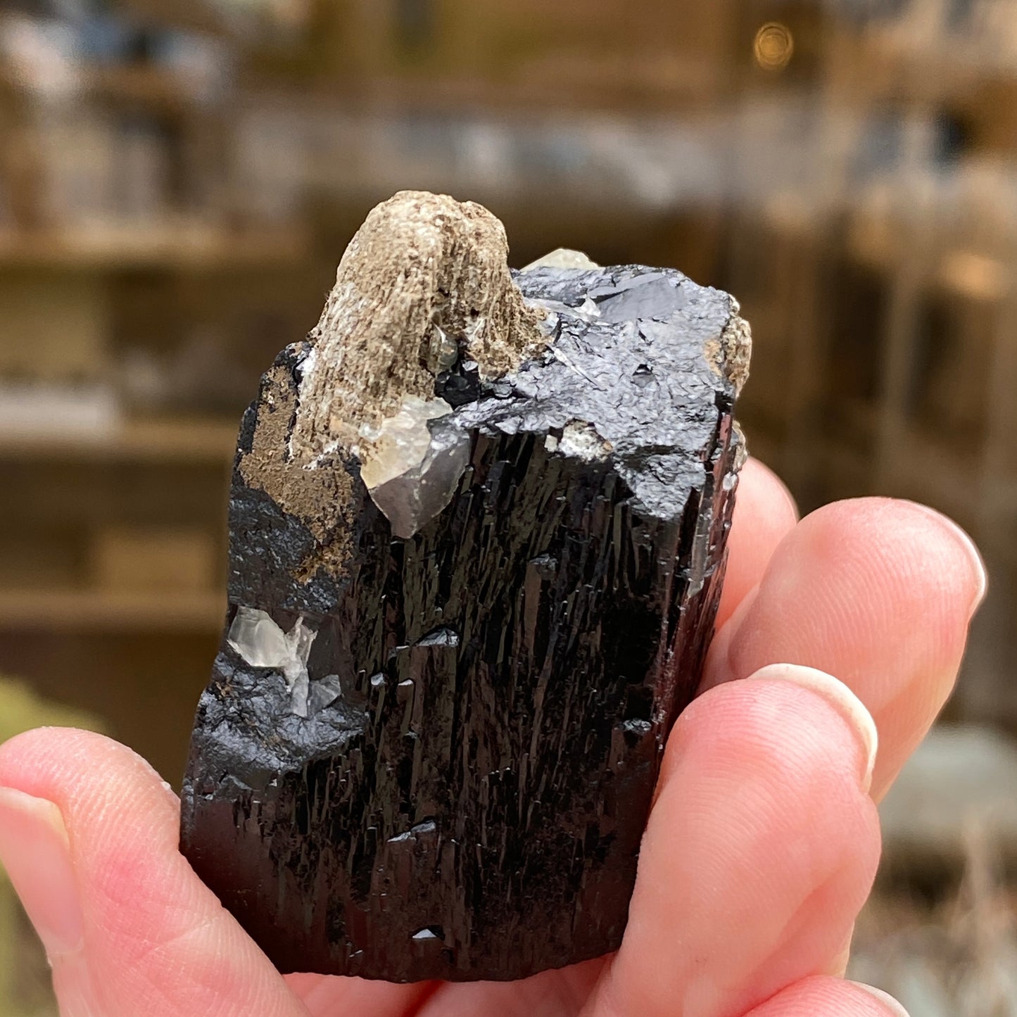 Ilvaite, Sphalerite, Mongolia