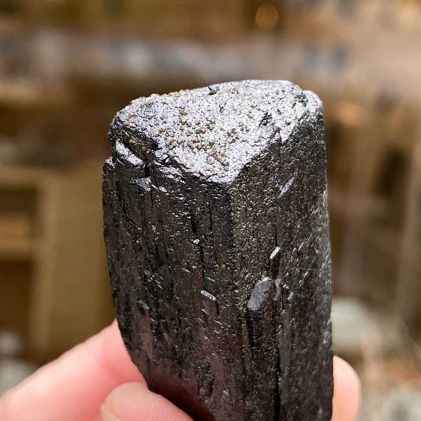 Ilvaite, Sphalerite, Mongolia