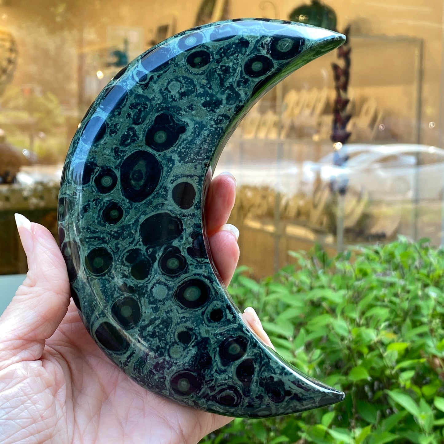 Kambaba Jasper Moon