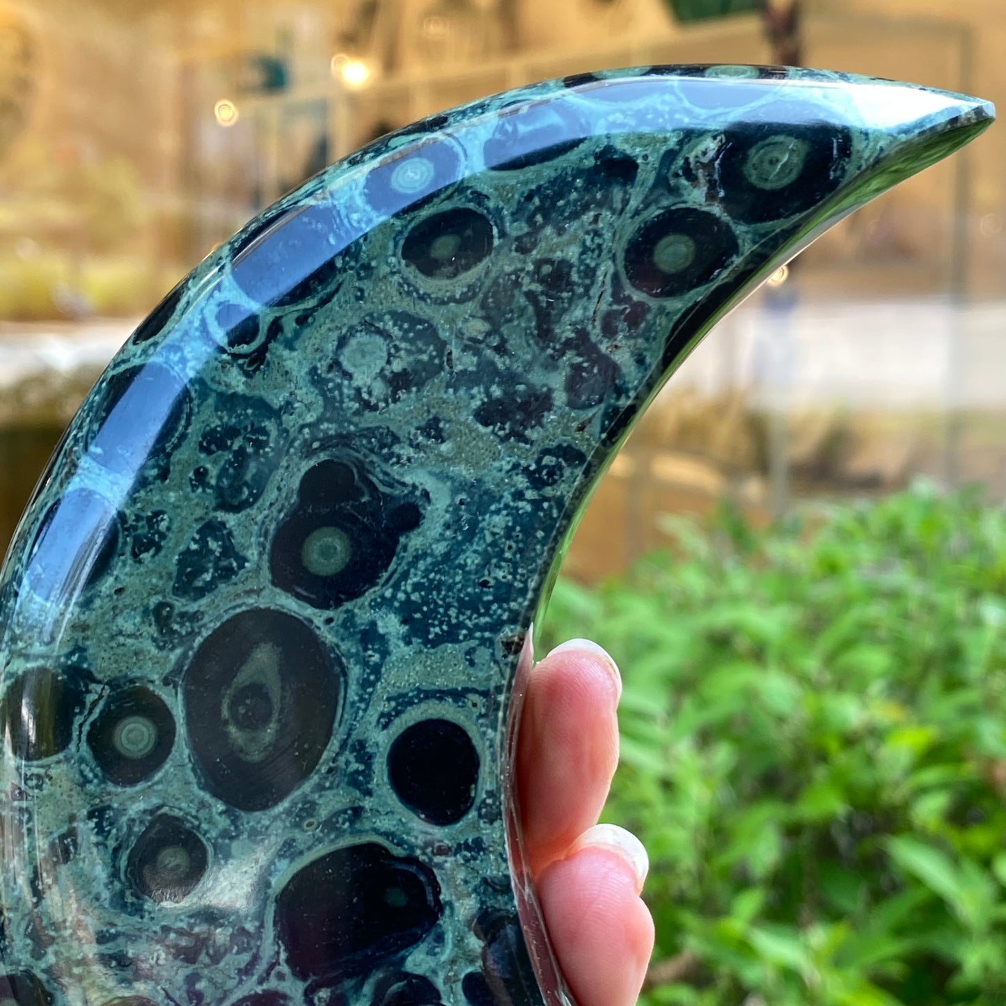 Kambaba Jasper Moon