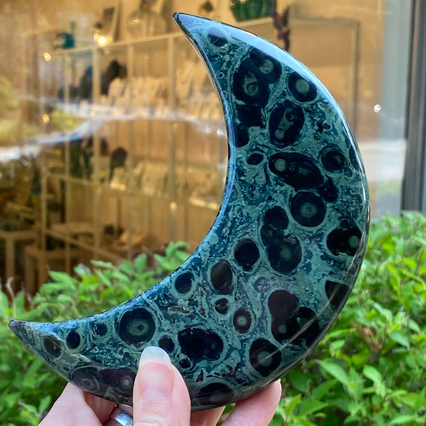 Kambaba Jasper Moon