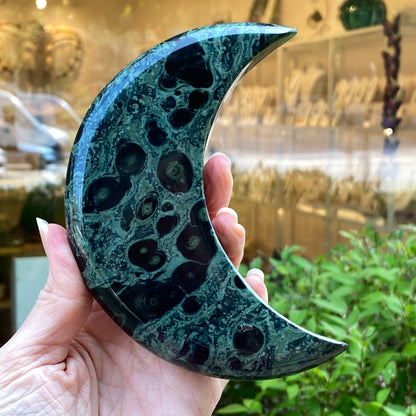 Kambaba Jasper Moon