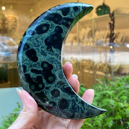 Kambaba Jasper Moon
