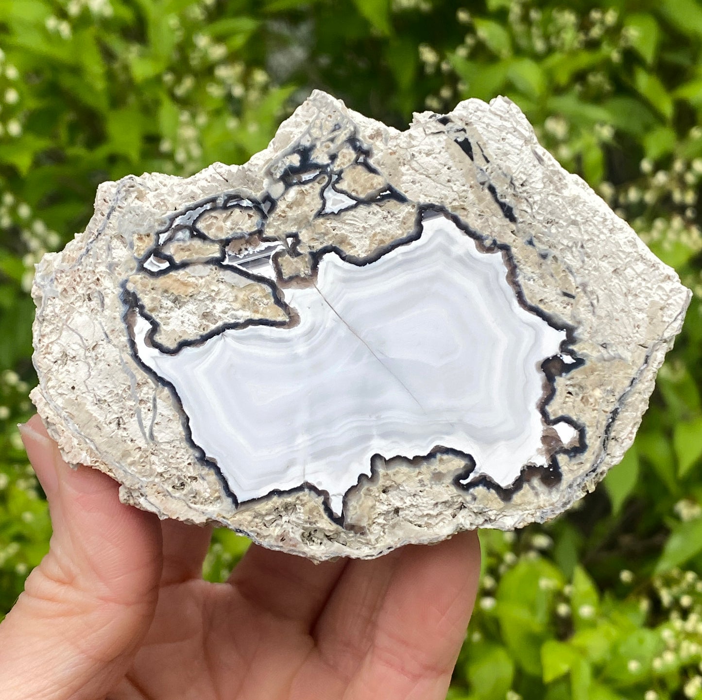 Rare Kaolin Agate, Germany, Gröppendorf