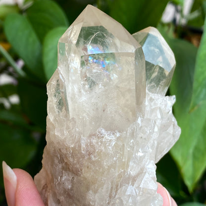 Kundalini Citrine Crystal