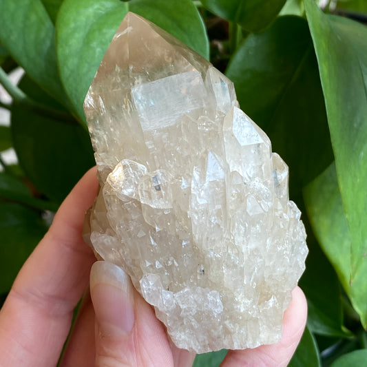 Kundalini Citrine Crystal