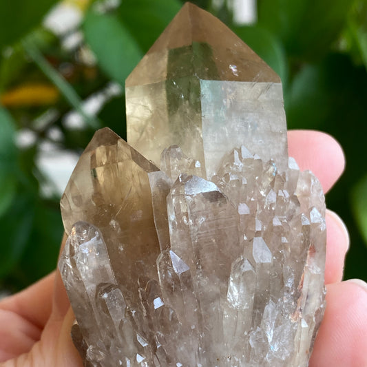 Kundalini Citrine Crystal