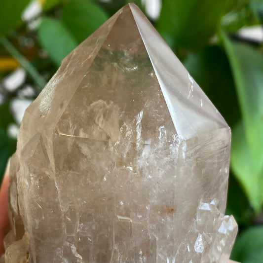 Kundalini Smokey Citrine Crystal