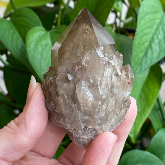 Kundalini Smoky Quartz Crystal