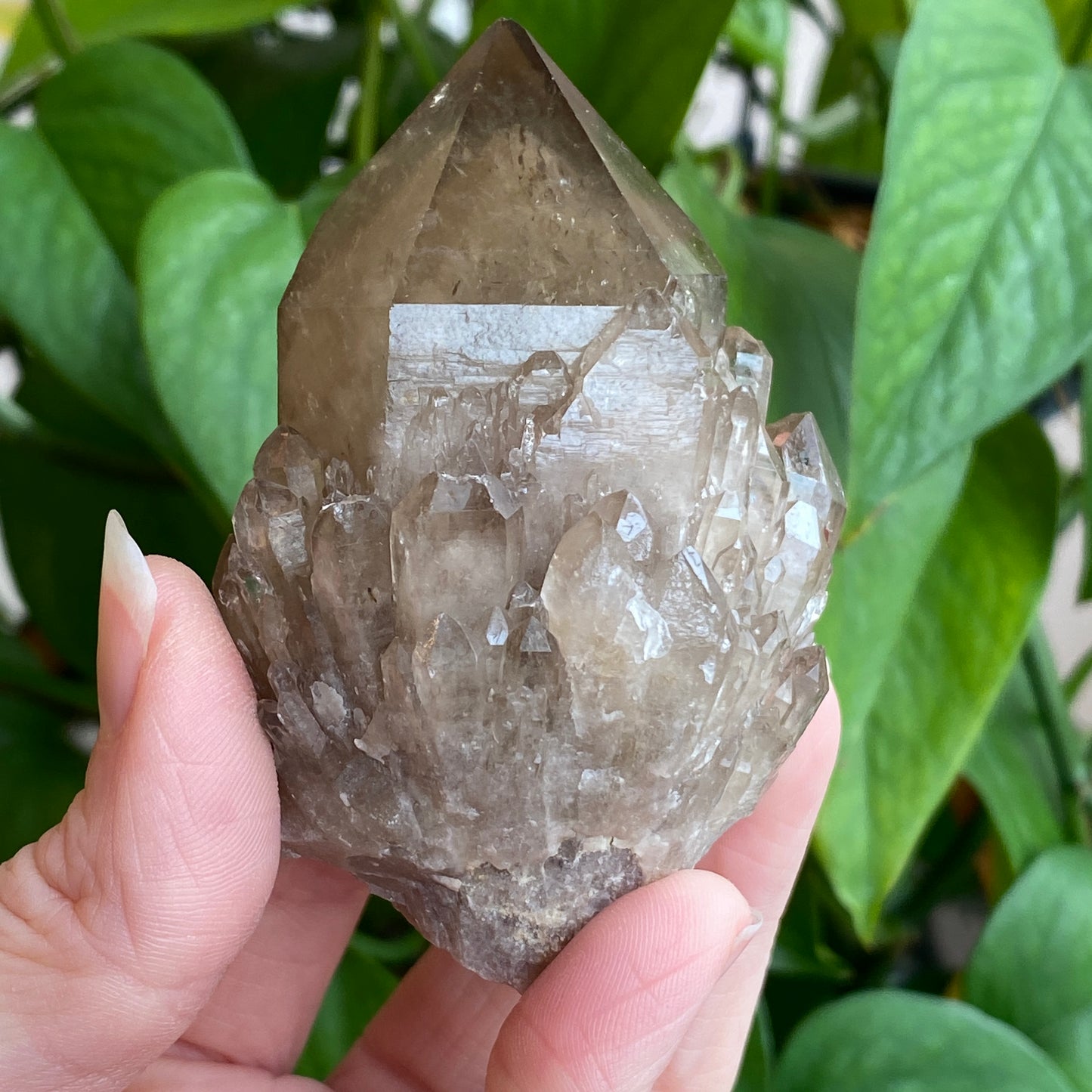 Kundalini Smoky Quartz Crystal