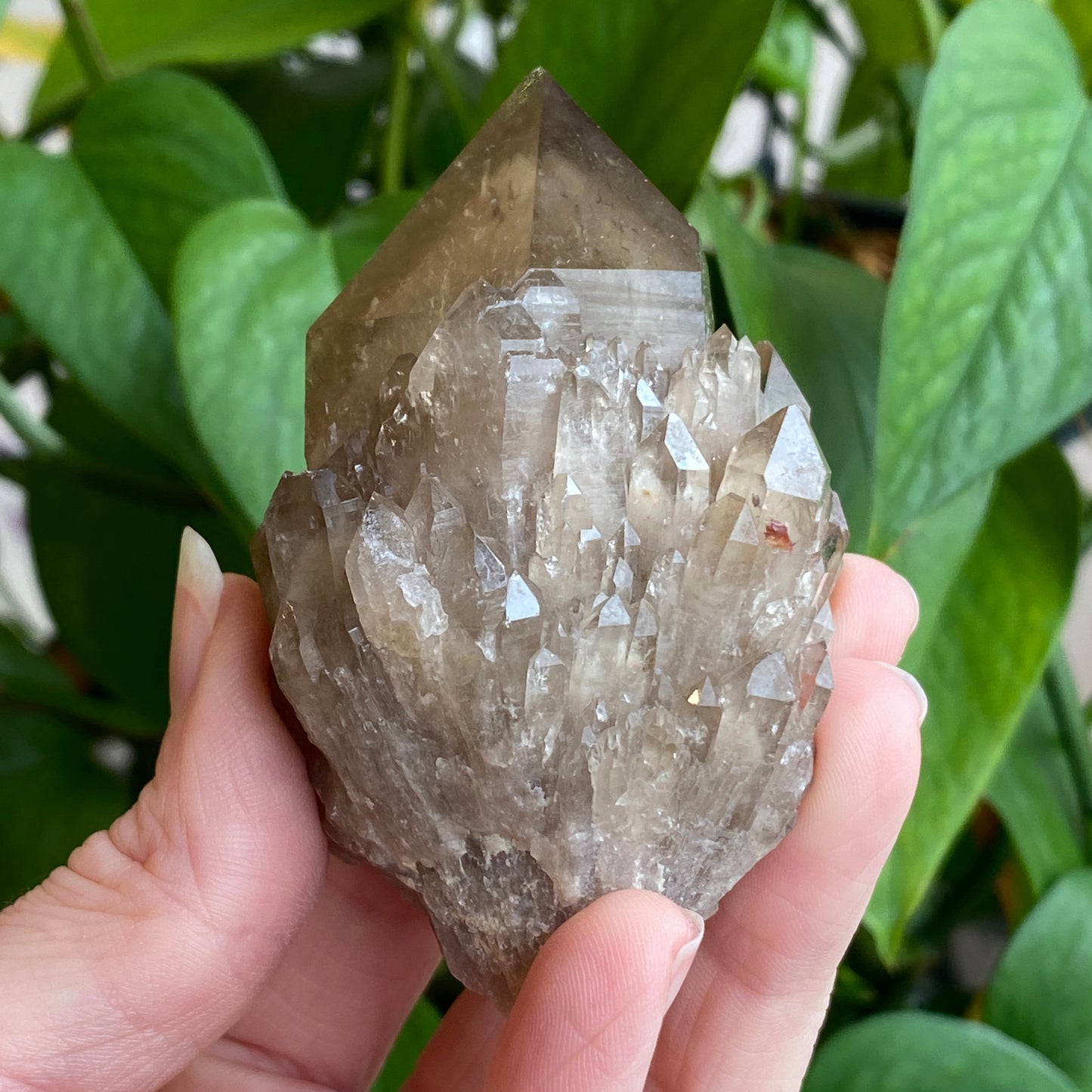 Kundalini Smoky Quartz Crystal