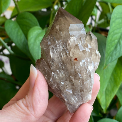 Kundalini Smoky Quartz Crystal