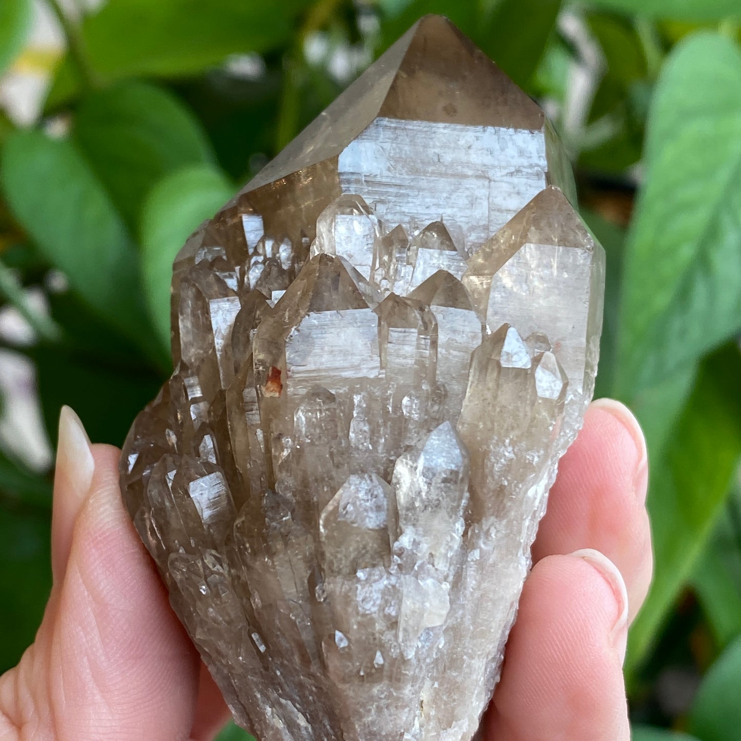 Kundalini Smoky Quartz Crystal