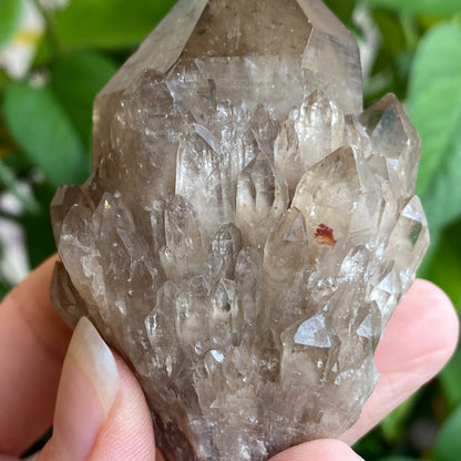 Kundalini Smoky Quartz Crystal