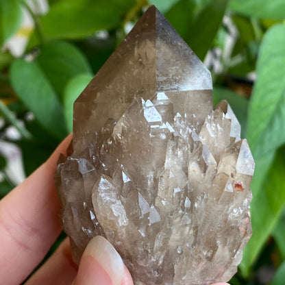 Kundalini Smoky Quartz Crystal