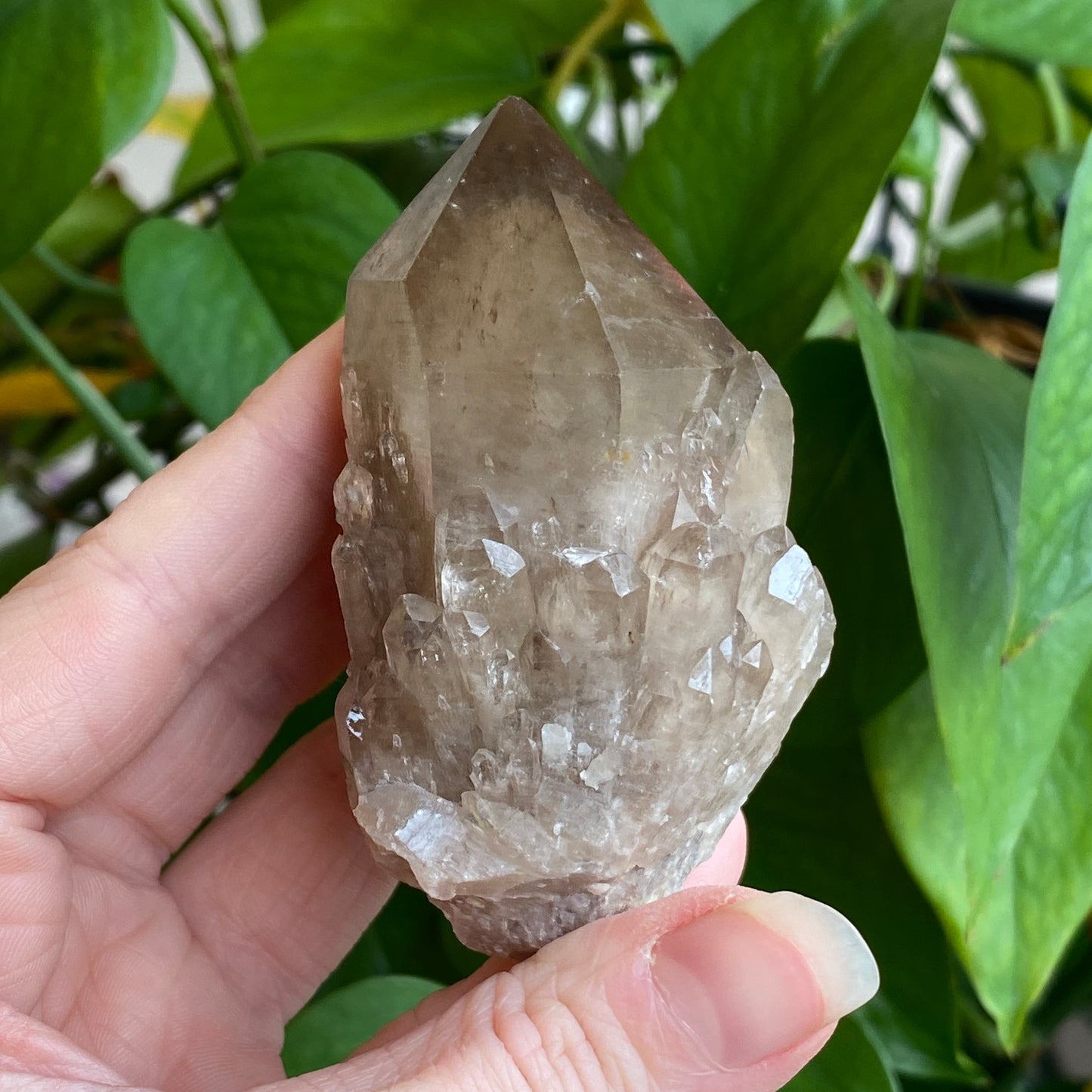 Kundalini Smoky Quartz Crystal