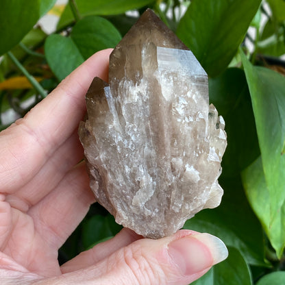 Kundalini Smoky Quartz Crystal