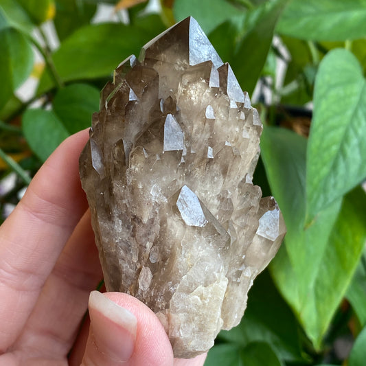 Kundalini Smoky Quartz Crystal