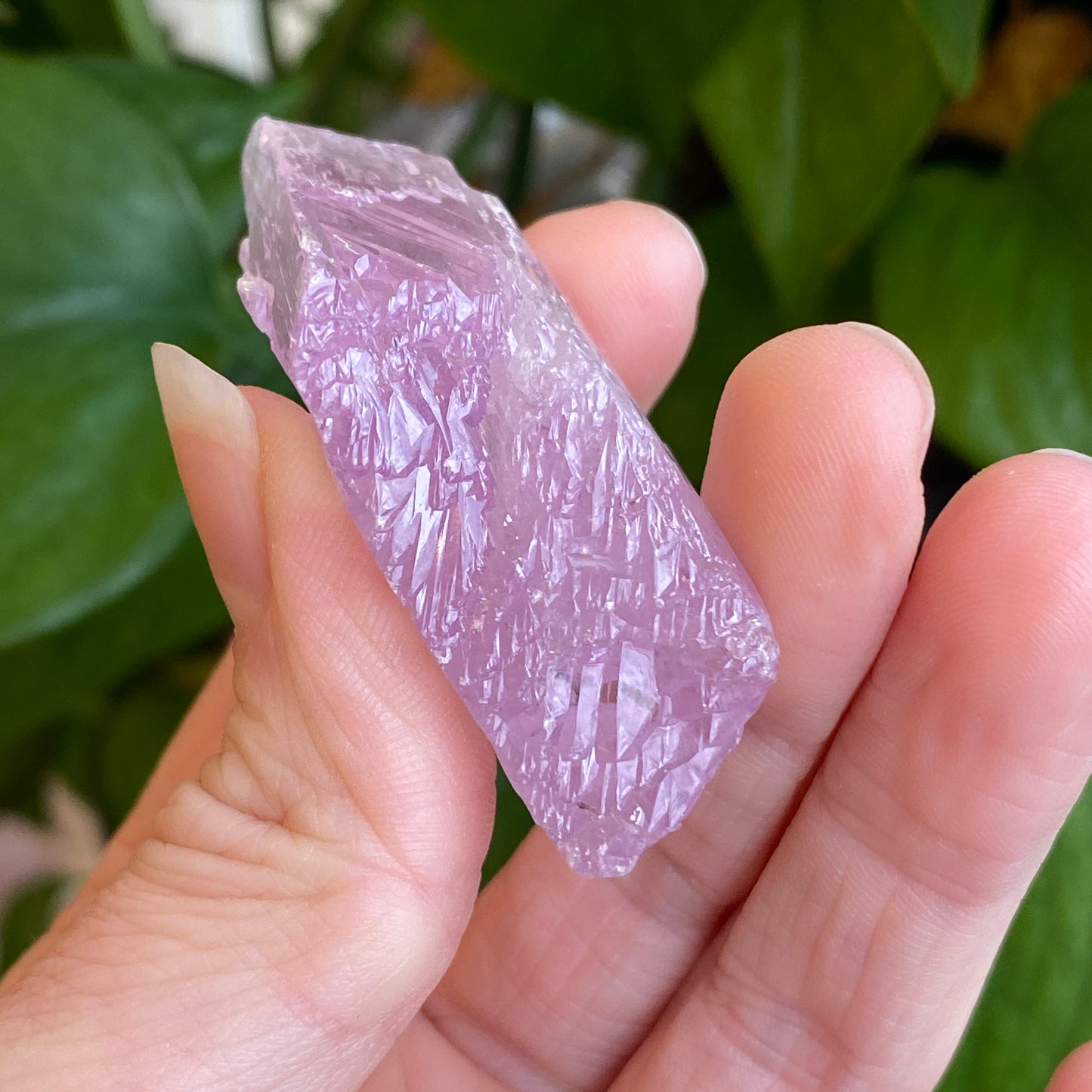 Kunzite Crystal, Water Etched, Multi-Terminated, Self Healed Specimen