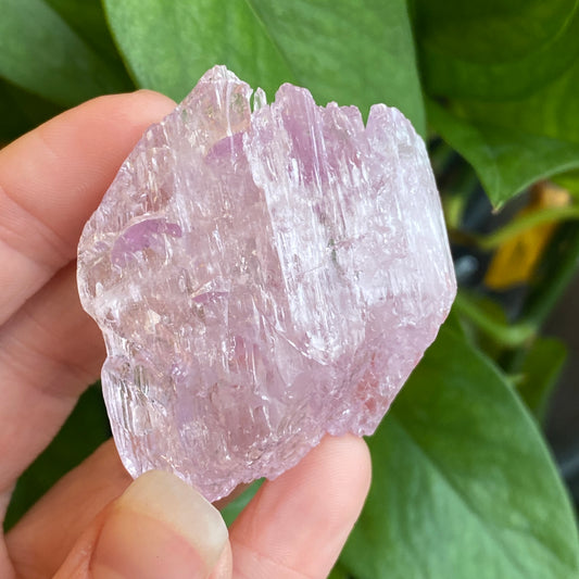 Kunzite Crystal, Water Etched, Multi-Terminated, Self Healed Specimen