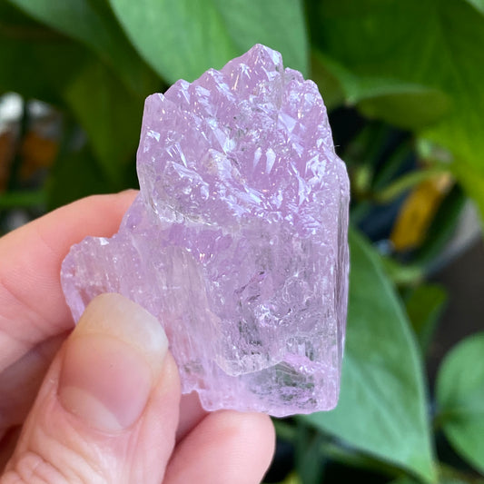 Kunzite Crystal, Water Etched, Multi-Terminated, Self Healed Specimen