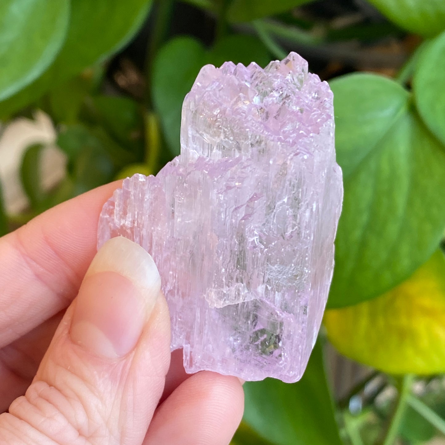 Kunzite Crystal, Water Etched, Multi-Terminated, Self Healed Specimen