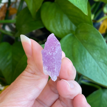 Kunzite Crystal, Water Etched, Multi-Terminated, Self Healed Specimen