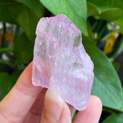 Kunzite Crystal, Water Etched, Multi-Terminated, Self Healed Specimen