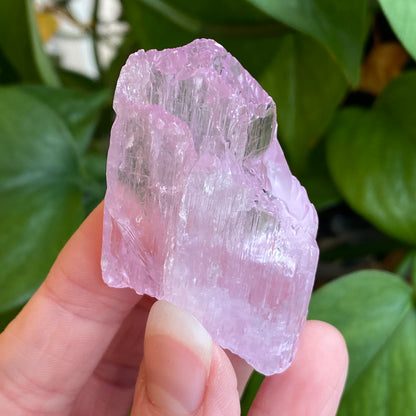 Kunzite Crystal, Water Etched, Multi-Terminated, Self Healed Specimen