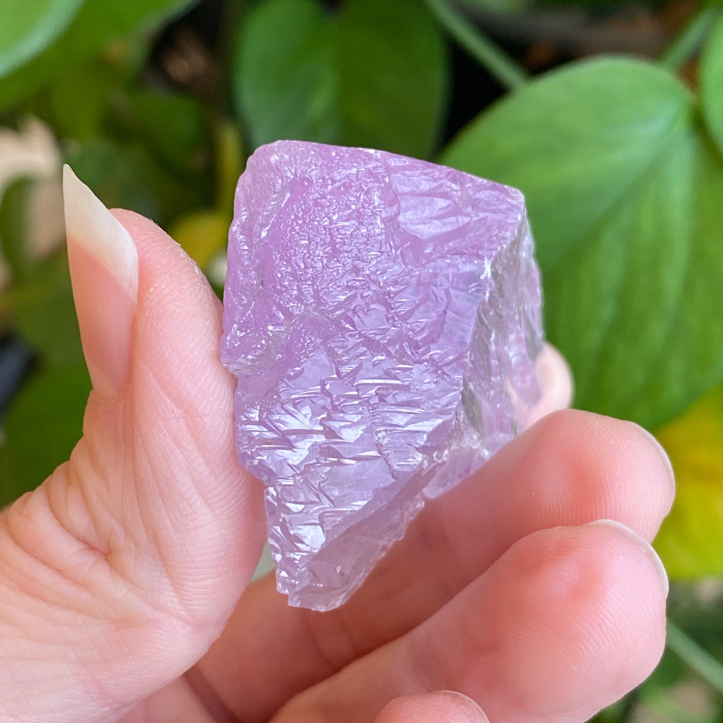 Kunzite Crystal, Water Etched, Multi-Terminated, Self Healed Specimen