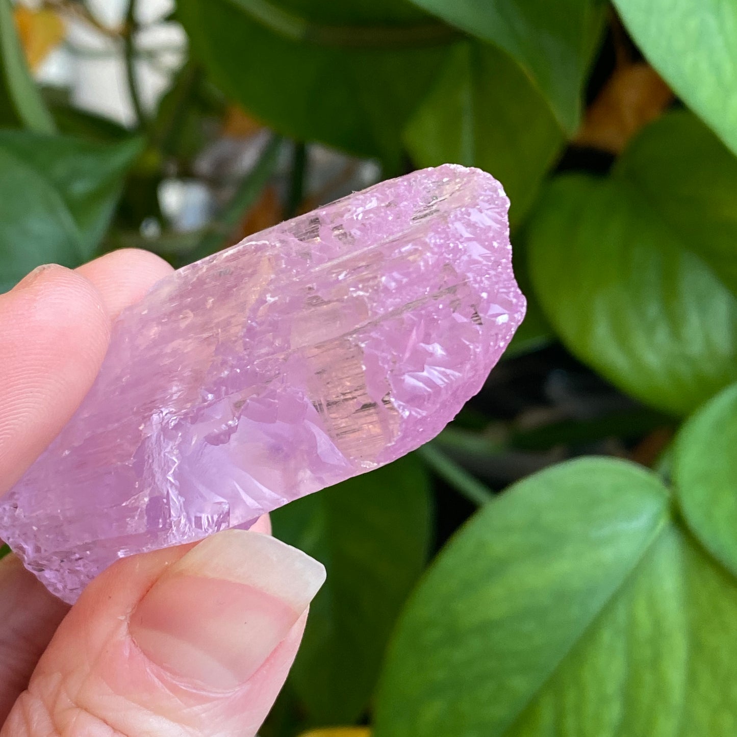 Kunzite Crystal, Water Etched, Multi-Terminated, Self Healed Specimen