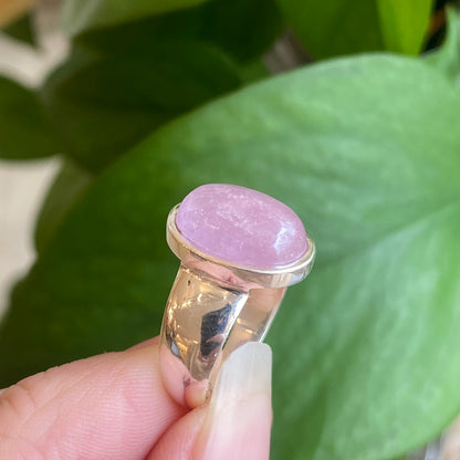 Kunzite Ring, Size 7.5